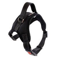 HKM-328467 Nylon Dog Collar for Medium and Large Breeds - Black, Red, Camouflage, Leopard Print Options