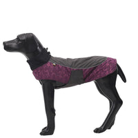 HKM-329299 Winter Sports Jacket for Medium and Large Dogs - Windproof and Warm in Army Green, Sapphire Blue, Fuchsia