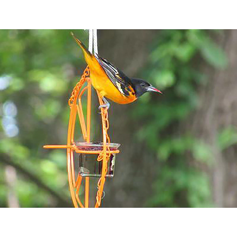 HKM-331027 Metal Oriole Bird Feeder with Orange Fruit Holder for Outdoor Garden and Hummingbirds