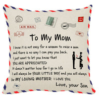 HKM-331475 Peach Skin and Short Plush Cartoon/Anime Pillowcases for Sofa - 40x40cm & 45x45cm Options Available