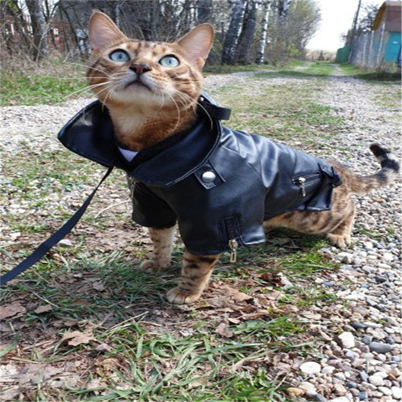 HKM-332755 Embroidered Eagle Design Leather Jacket for Small Dogs in Chocolate Black
