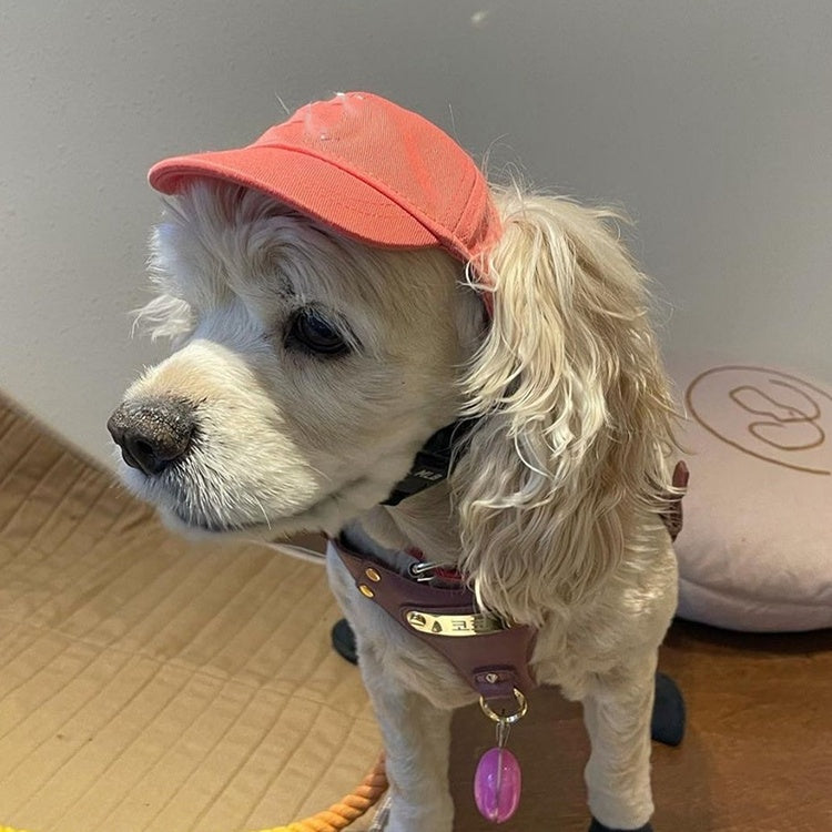 HKM-333843 Pet Baseball Cap for Dogs - Adjustable Teddy Schnauzer Hat in Multiple Colors