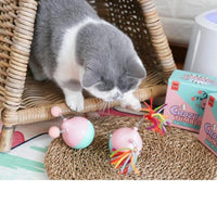 HKM-334995 Tumbler pet toy