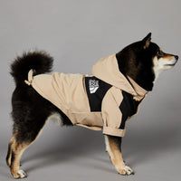 HKM-335187 Cozy Casual Cotton Dog Sweater for Autumn and Winter