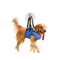 HKM-335571 Rehabilitation Training Belt for Middle-aged and Elderly Dogs - Adjustable Oxford Cloth Support Harness