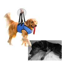 HKM-335571 Rehabilitation Training Belt for Middle-aged and Elderly Dogs - Adjustable Oxford Cloth Support Harness