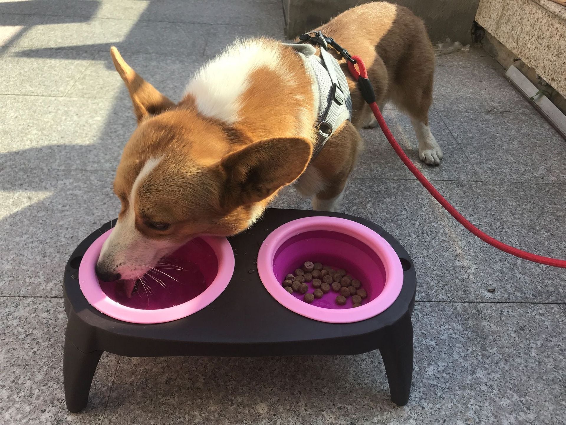 HKM-335891 Folding Double Pet Bowl with Non-Slip Base – Durable PP+TPR Material, Perfect for Travel