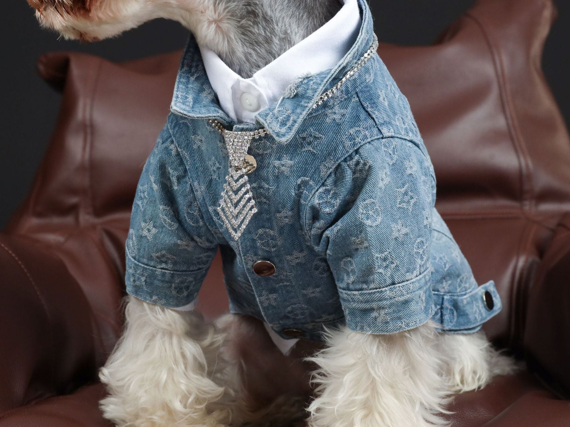HKM-336147 Casual Blue Cotton Denim Shirt for Dogs - Spring/Summer Style
