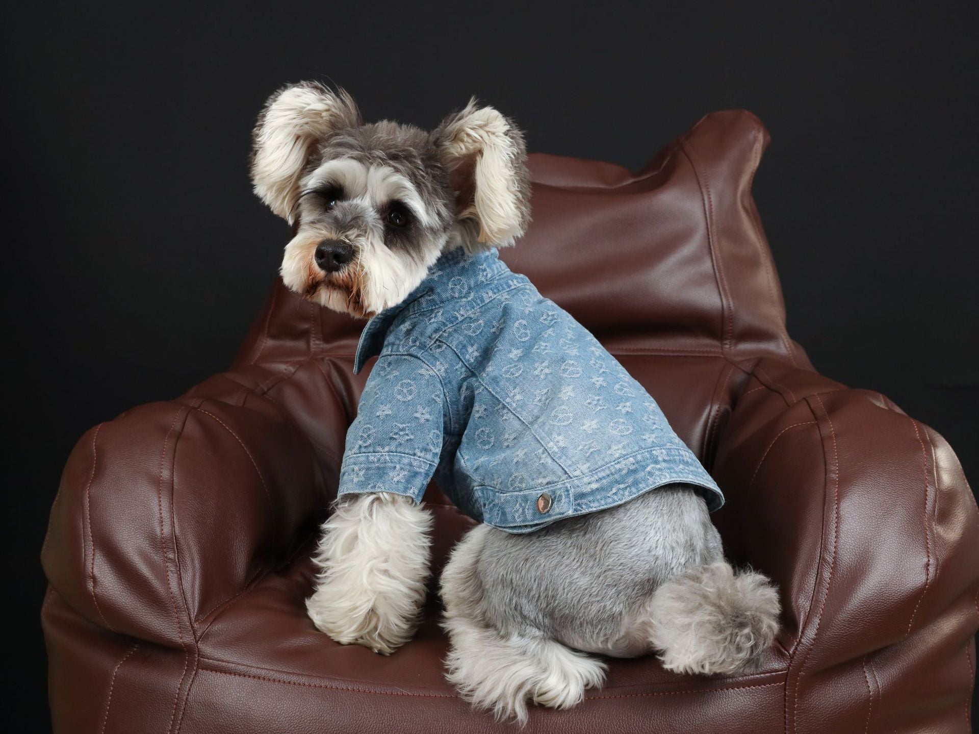 HKM-336147 Casual Blue Cotton Denim Shirt for Dogs - Spring/Summer Style