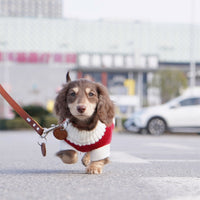 HKM-338259 Red and White Striped Sweater for Small Dogs and Cats