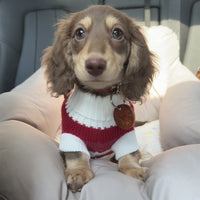 HKM-338259 Red and White Striped Sweater for Small Dogs and Cats