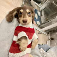 HKM-338259 Red and White Striped Sweater for Small Dogs and Cats