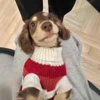 HKM-338259 Red and White Striped Sweater for Small Dogs and Cats