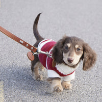 HKM-338259 Red and White Striped Sweater for Small Dogs and Cats