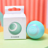 HKM-340435 Self-Playing Cat Teaser Ball - Smart Rolling Toy in Pink or Blue, USB-C Rechargeable