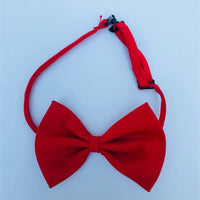HKM-341139 Colorful Floral Cat Bow Tie Hairpin for Stylish Pet Accessories