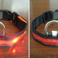 HKM-341843 Pomeranian Husky Small And Medium-Sized Big Dog Smlxl Luminous Led Pet Collar