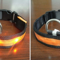 HKM-341843 Pomeranian Husky Small And Medium-Sized Big Dog Smlxl Luminous Led Pet Collar