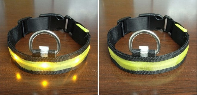 HKM-341843 Pomeranian Husky Small And Medium-Sized Big Dog Smlxl Luminous Led Pet Collar
