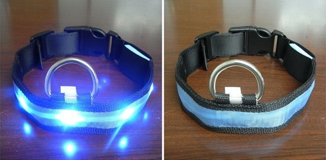 HKM-341843 Pomeranian Husky Small And Medium-Sized Big Dog Smlxl Luminous Led Pet Collar