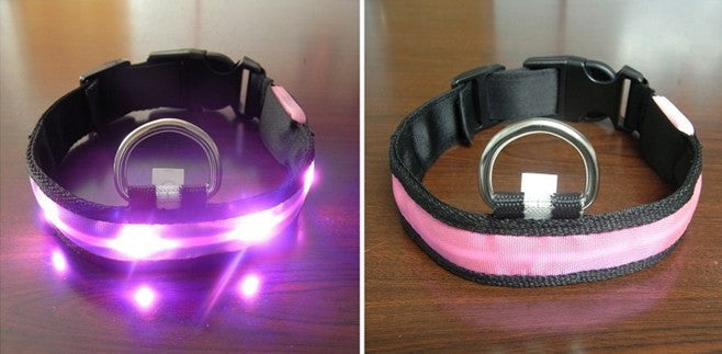 HKM-341843 Pomeranian Husky Small And Medium-Sized Big Dog Smlxl Luminous Led Pet Collar