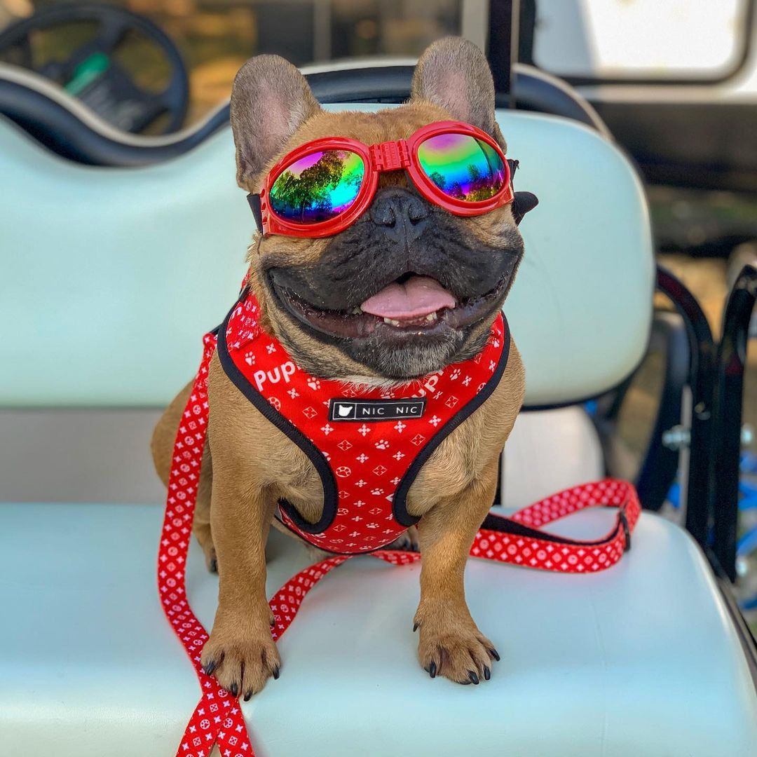 HKM-345939 Breathable Mesh Dog Harness and Leash Set - Adjustable Polyester Chest Strap in Red