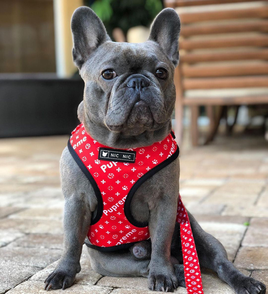 HKM-345939 Breathable Mesh Dog Harness and Leash Set - Adjustable Polyester Chest Strap in Red