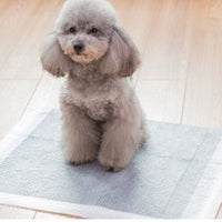 HKM-346771 Pet Diapers - Non-Woven Material, Available in S, M, L, XL Sizes