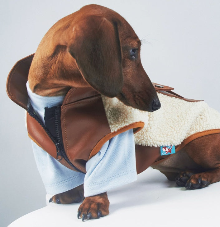 HKM-351827 Warm Lambswool Pet Jacket for Dogs and Cats – Casual Style for Autumn and Winter