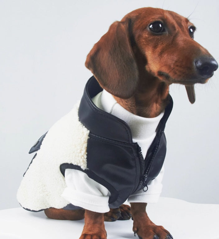 HKM-351827 Warm Lambswool Pet Jacket for Dogs and Cats – Casual Style for Autumn and Winter