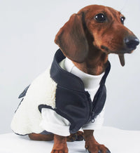 HKM-351827 Warm Lambswool Pet Jacket for Dogs and Cats – Casual Style for Autumn and Winter
