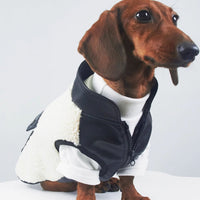 HKM-351827 Warm Lambswool Pet Jacket for Dogs and Cats – Casual Style for Autumn and Winter