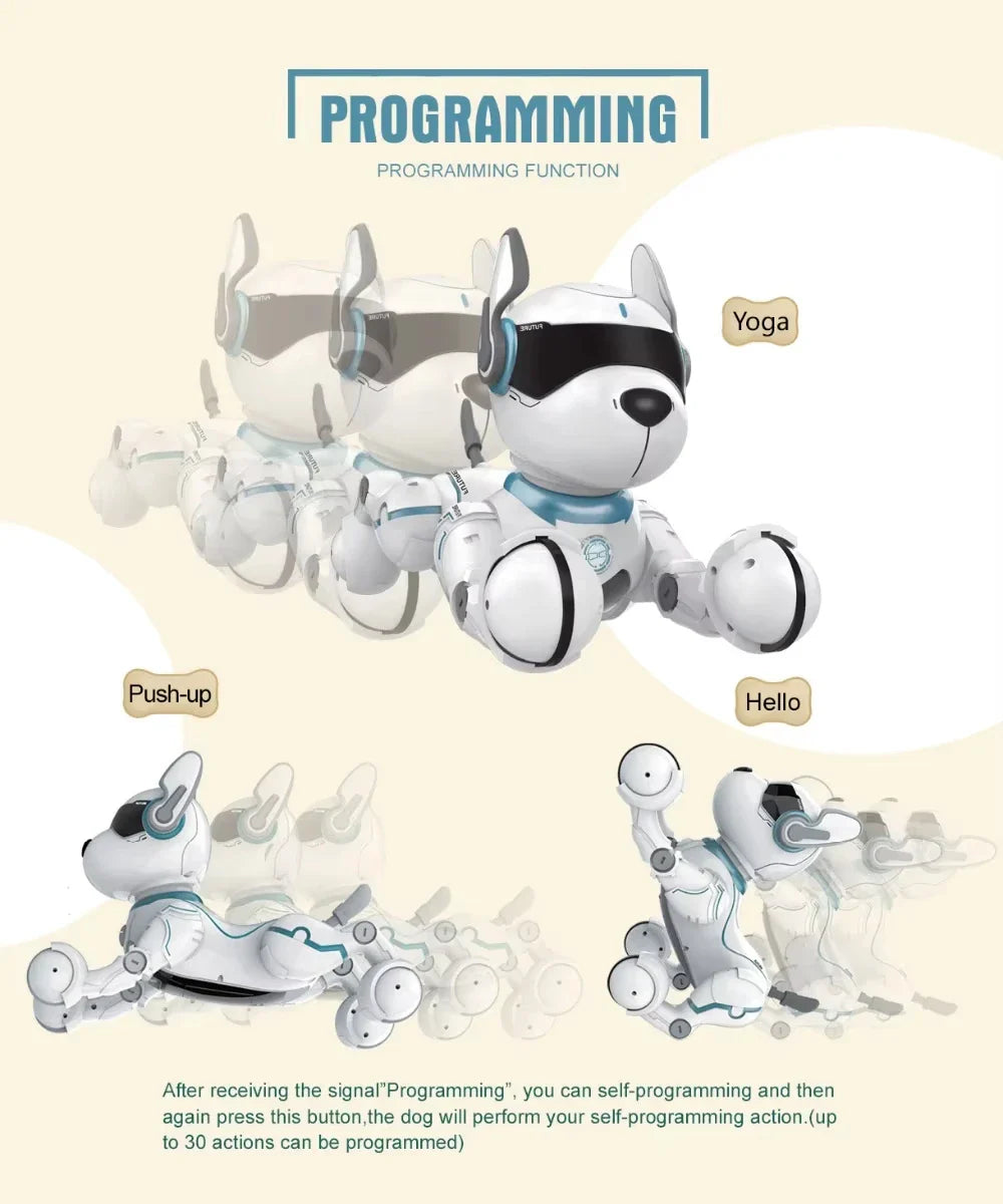 HKM-355219 Programmable Remote-Controlled Stunt Dog with Voice Imitation and Light & Sound Features for Kids
