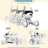 HKM-355219 Programmable Remote-Controlled Stunt Dog with Voice Imitation and Light & Sound Features for Kids