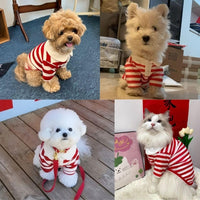 HKM-355283 Polo T-Shirts for Small to Medium Dogs - Breathable Summer Apparel for Puppies and Kittens
