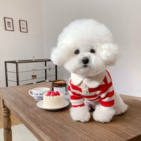 HKM-355283 Polo T-Shirts for Small to Medium Dogs - Breathable Summer Apparel for Puppies and Kittens
