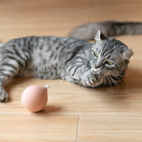 HKM-356243 Interactive Electric Cat Toy for Playful Cats, 7*7*15 cm, ABS Material