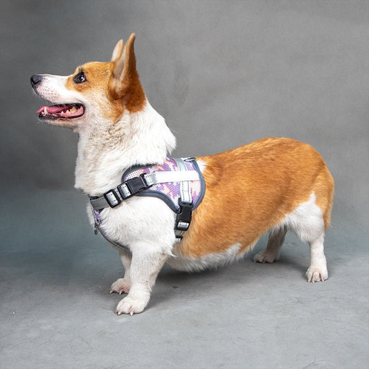 HKM-359443 Colorful Reflective Anti-Strangulation Pet Harness for Neck Protection