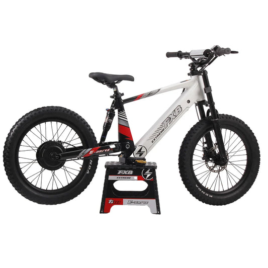 KTX-360659 20-Inch Electric Balance Bike for Kids, 36V 800W/1200W Motor, Aluminum Frame, Off-Road FAT Tires, Hydraulic Brakes