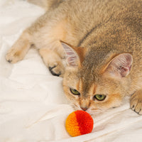 HKM-360851 Cat Quiet Hair Ball Pet Toy