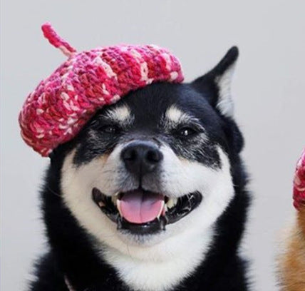 HKM-362067 Hand-Knitted Mini Beret and Collar Set for Dogs in Mixed Colors