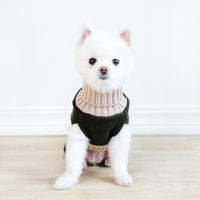 HKM-364115 Simple Army Green Dog Sweater for Autumn and Winter in Various Sizes