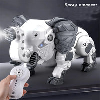 HKM-364691 Remote Control Electric Spider Toy with Spray and Music for Outdoor Fun for Ages 5 and Up