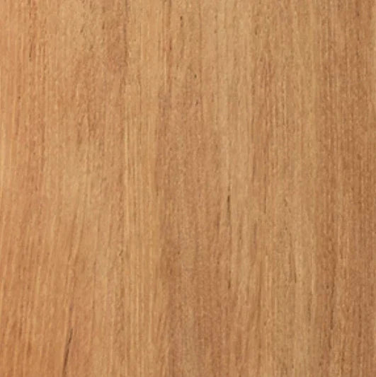 KTX-365203 Modern Cane Lounge Chair with Teak Frame and Rattan Detailing, Outdoor Fabric Cushion for Living Room