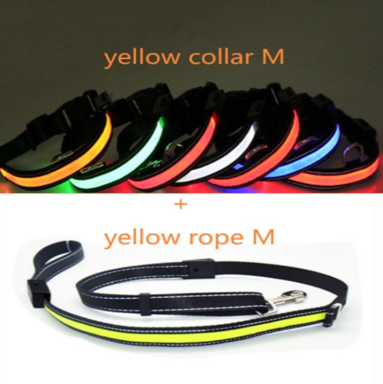 HKM-365843 Fluorescent Adjustable Dog Collar with Solar and USB Charging - 4-6 Hours Light Duration