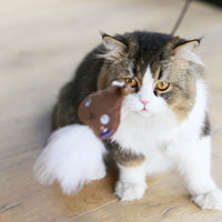 HKM-369939 Feather Cat Ticker Stick - Bite Resistant Plush Toy for Playful Kittens and Cats