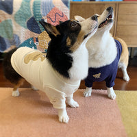 HKM-370707 Cozy Cotton Knitted Pet Sweater for Dogs in White and Navy Blue