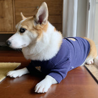 HKM-370707 Cozy Cotton Knitted Pet Sweater for Dogs in White and Navy Blue