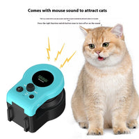 HKM-374355 Cat Weight Loss Remote Control Sound Toy