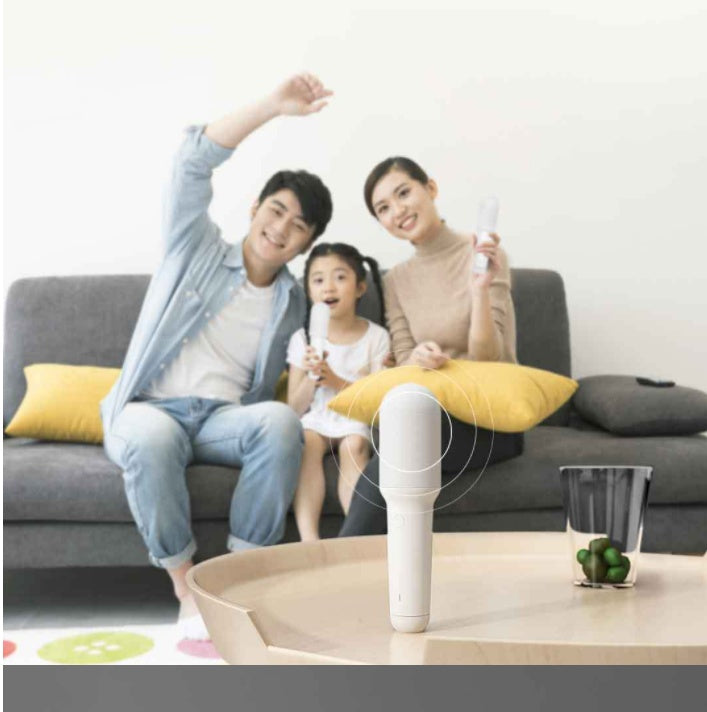 KTX-374611 Wireless Integrated Karaoke Microphone with Cardioid Directivity and USB Type-C Charging